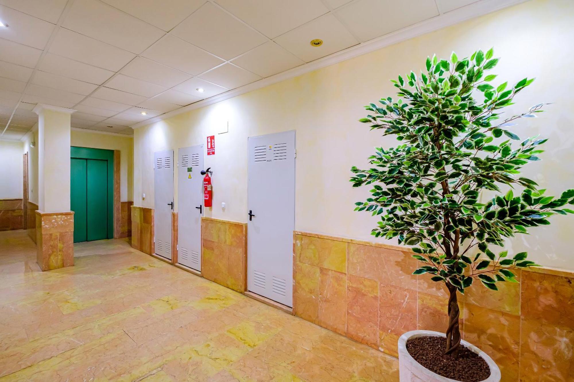 Deluxe Apartment Playa Del Cura Torrevieja Eksteriør bilde